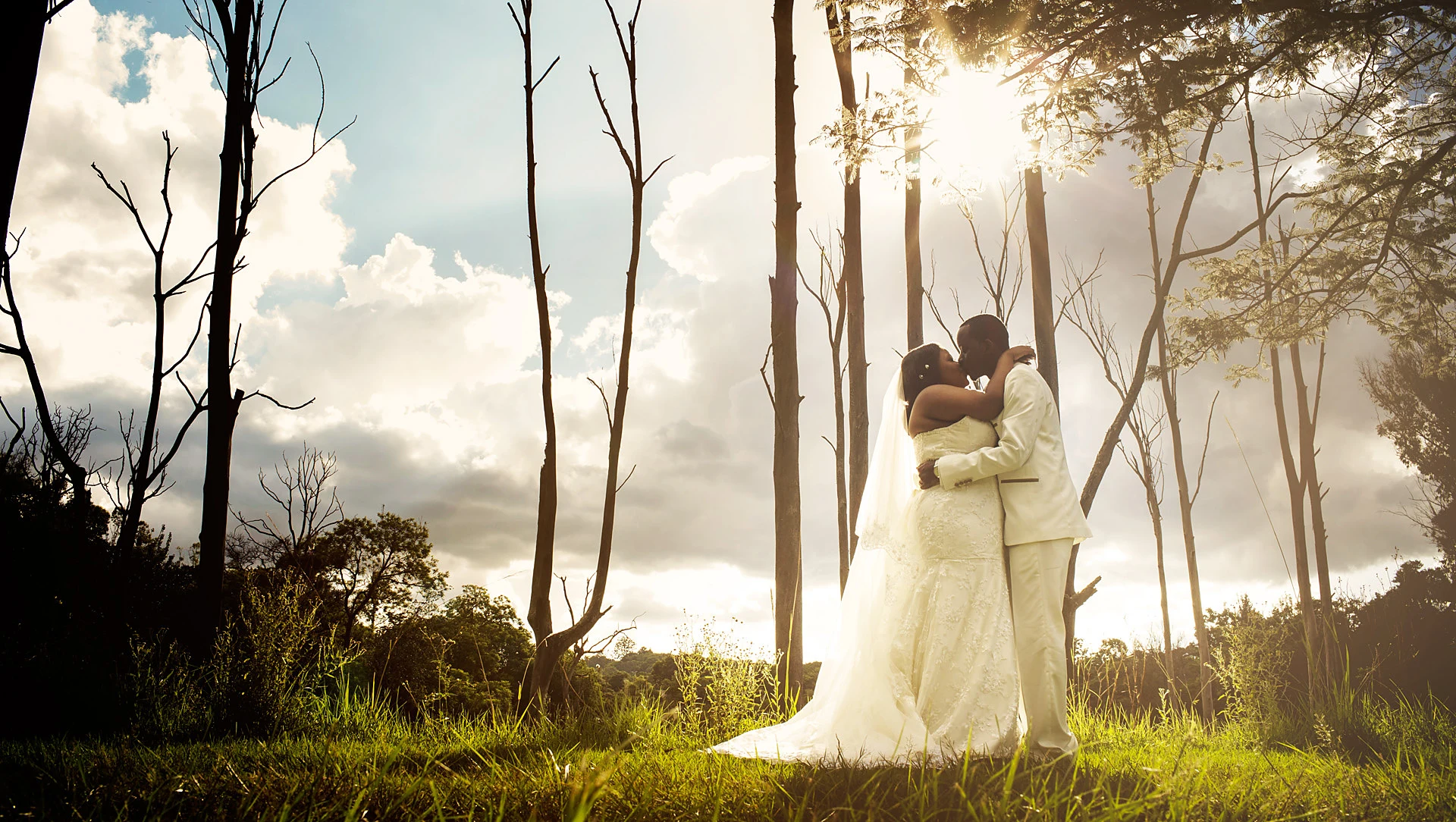 A bride and groom in cream kiss among tall trees with the sun bursting through the branches.